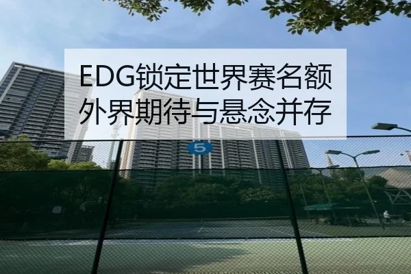 EDG锁定世界赛名额 外界期待与悬念并存